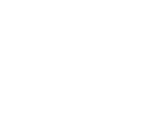 DuruVault